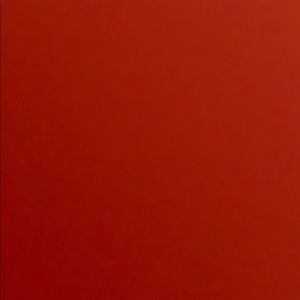 Meet your Posher, Lizeth